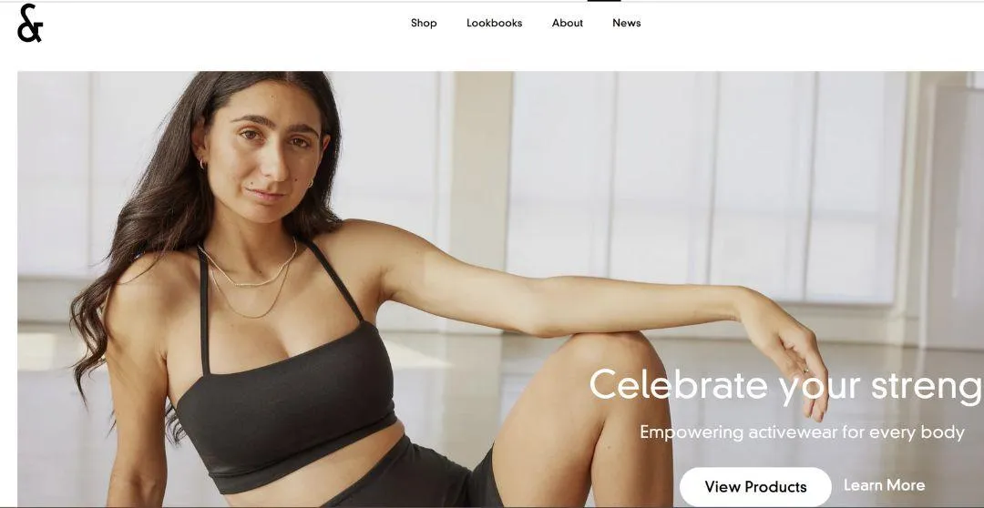 Shopify theme fort blogging