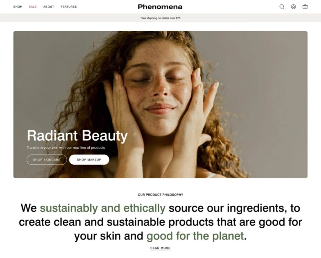 Palo Alto Theme Shopify Reviews: 4. Preset 4 - Phenomena