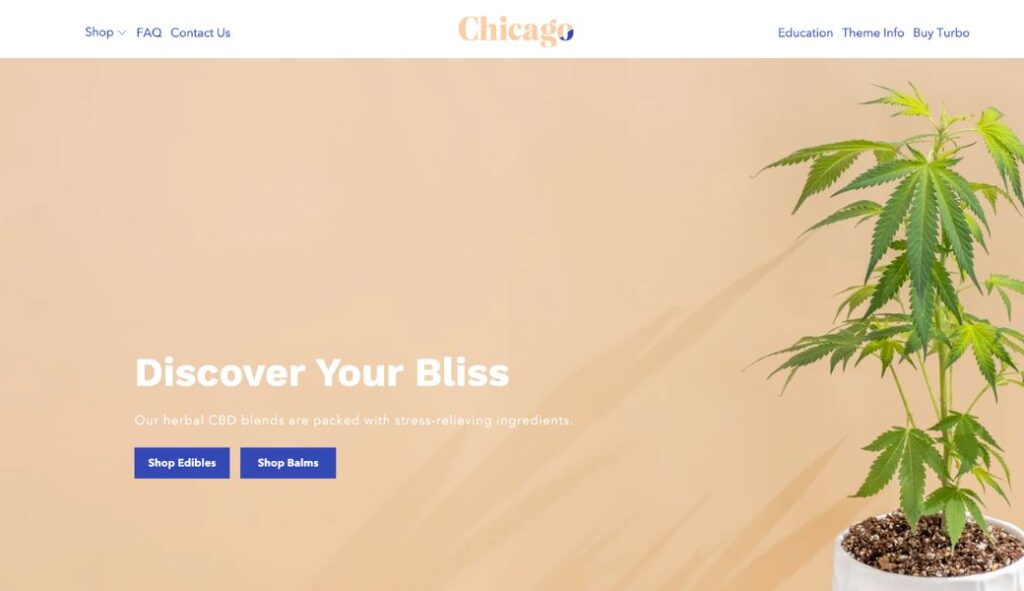 STyle Chicago shopify turbo theme review