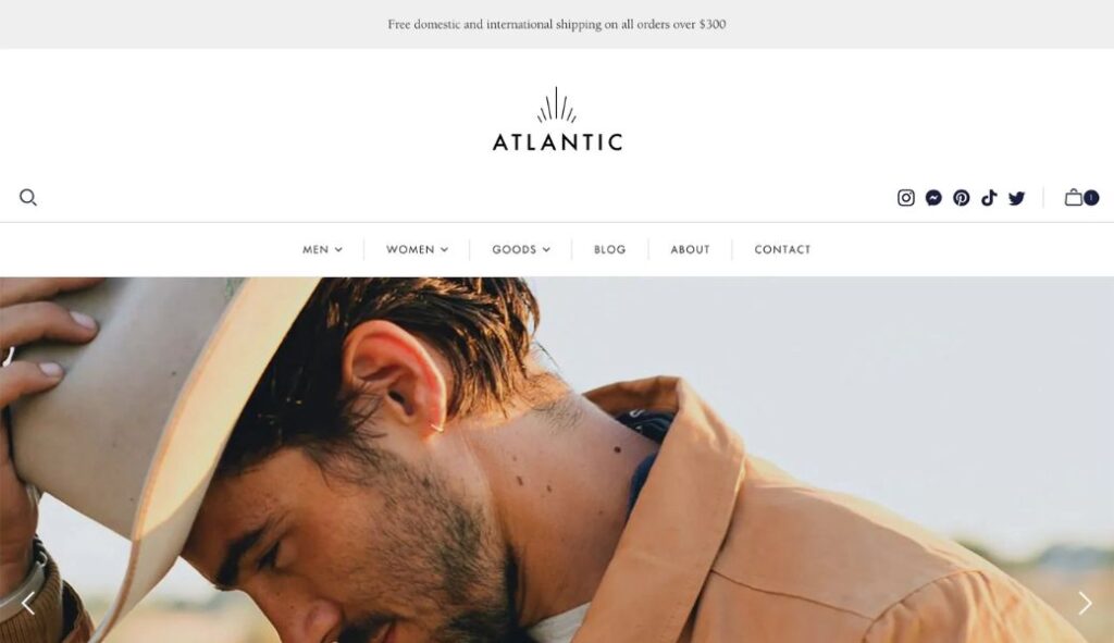 atlantic shopify theme review: Light 