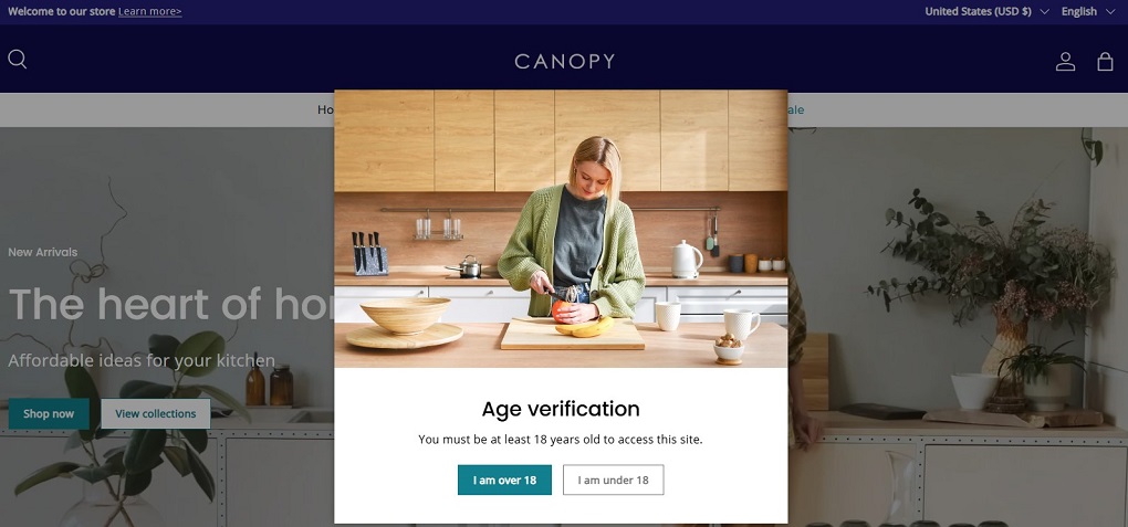 Shopify Canopy theme Review: Core features