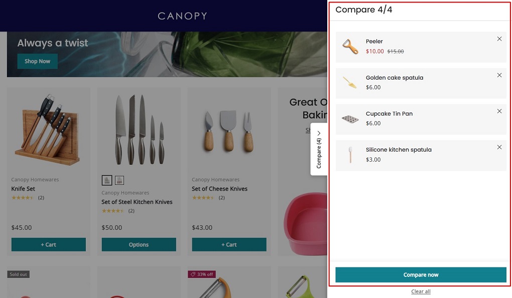 Shopify Canopy theme Review: Core features