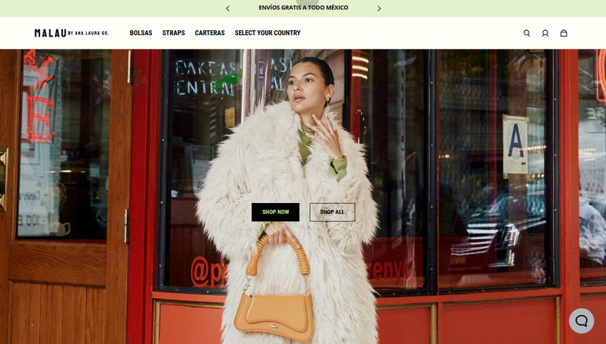 Successful stores using the Shopify Influence theme 