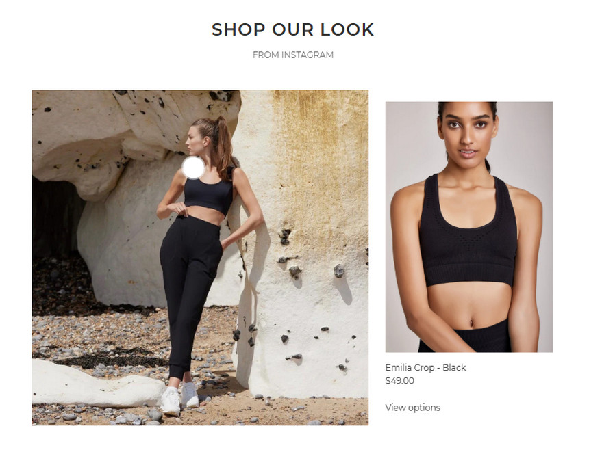 Capital Shopify theme review: Core features shop the look