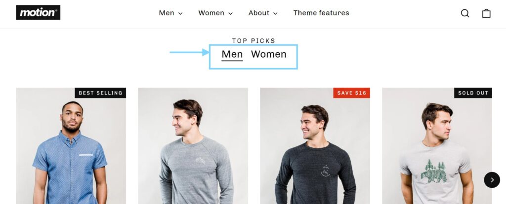 Motion Theme Shopify collection switcher features