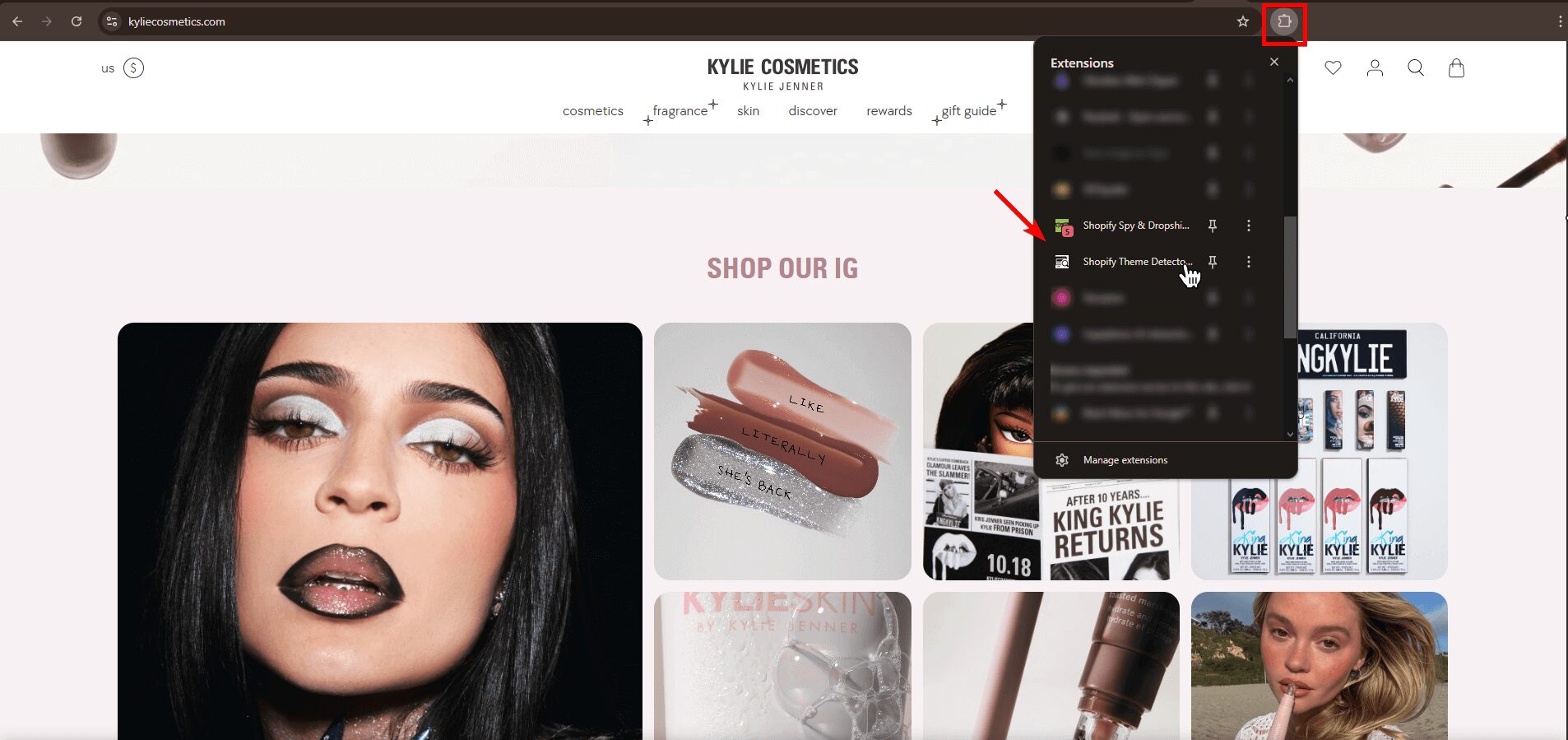 What shopify theme is this - use the extension