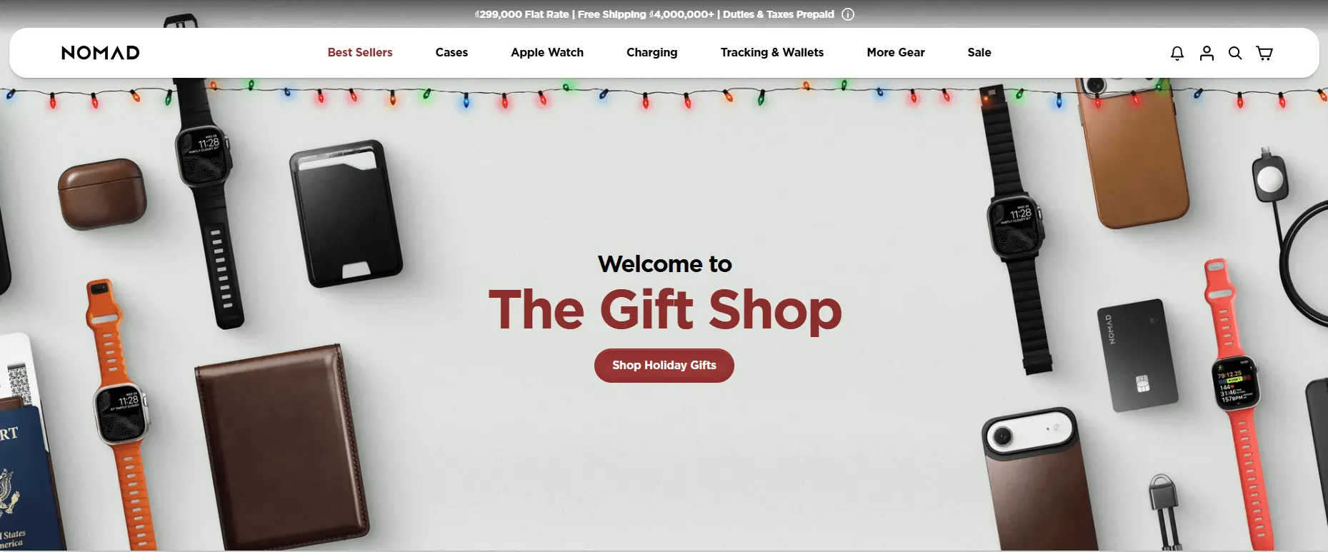 Nomad electronic store