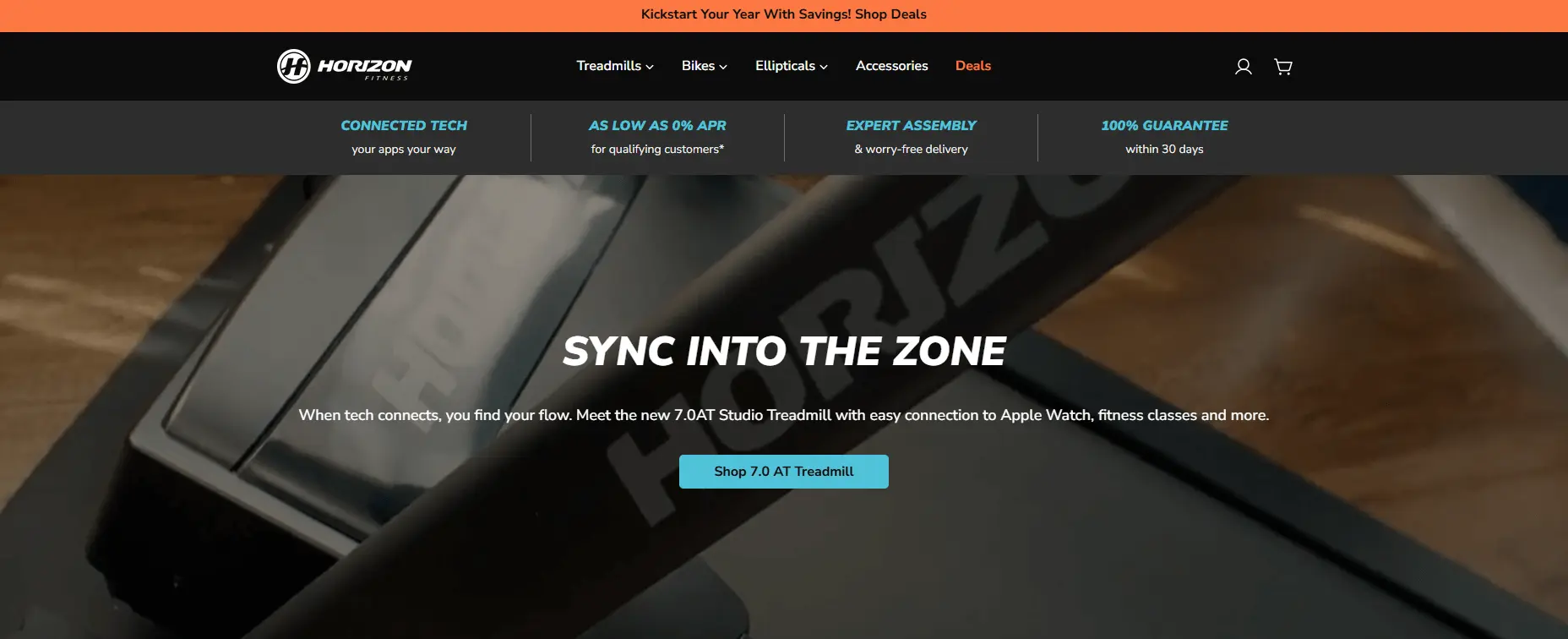 Best Shopify fitness stores example - Horizon Fitness